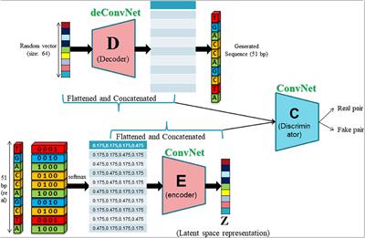 Predicting Sites of Epitranscriptome Modifications Using Unsupervised Representation Learning Based on Generative Adversarial Networks